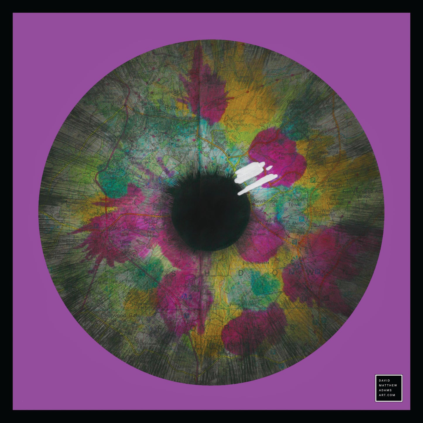 Iris Art Print 300x300mm (multiple colours available)