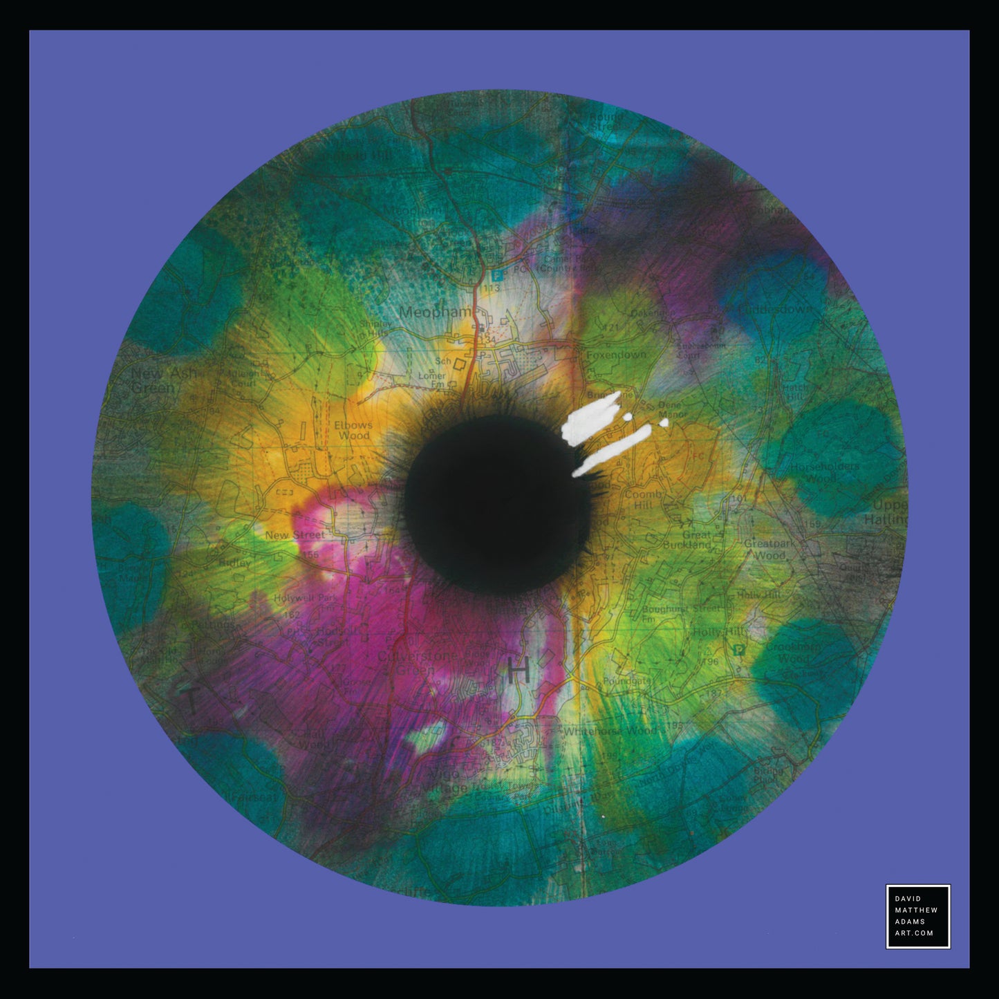 Iris Art Print 300x300mm (multiple colours available)