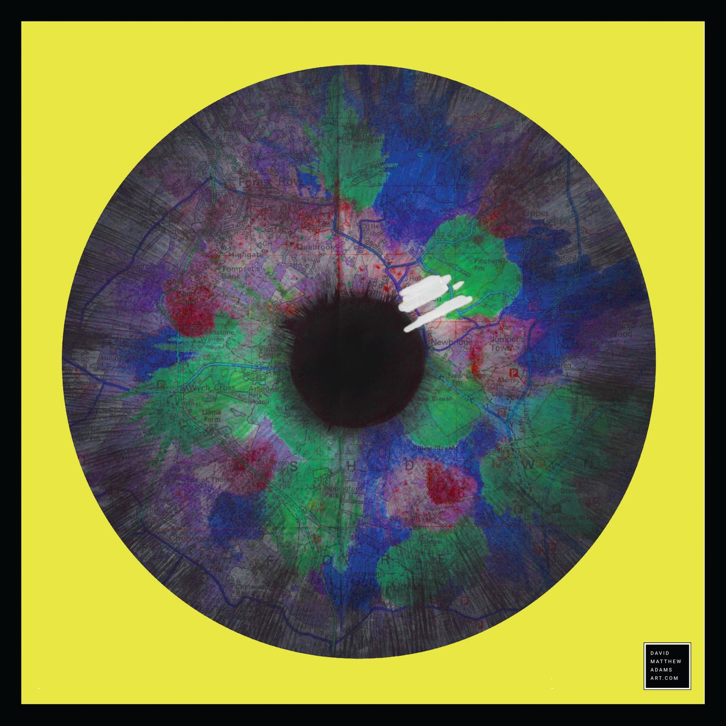 Iris Art Print 300x300mm (multiple colours available)